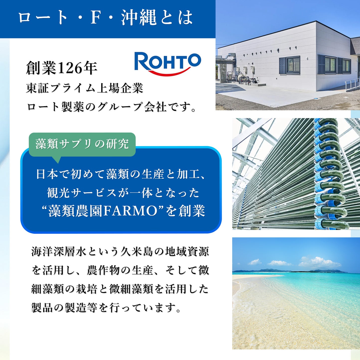 【特別価格】pure algae direct 100%藻類由来 DHA/EPA