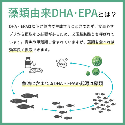 【特別価格】pure algae direct　100%藻類由来 DHA/EPA