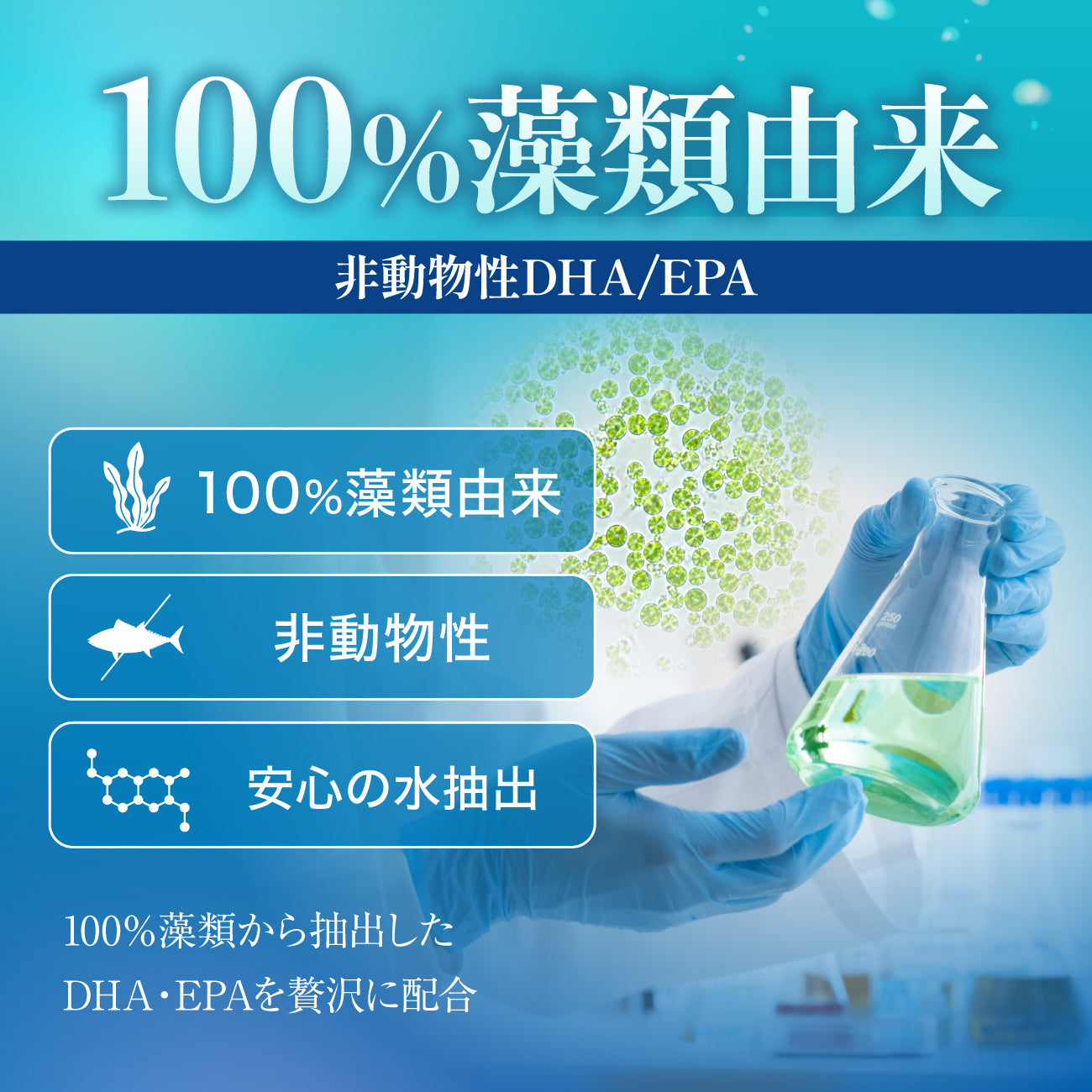 pure algae direct　100%藻類由来 DHA/EPA