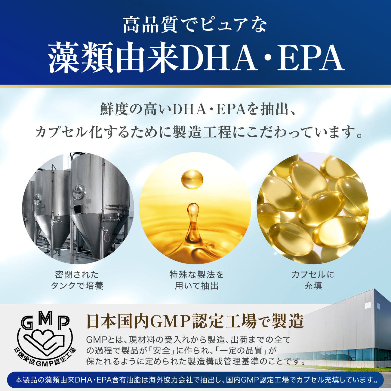 pure algae direct　100%藻類由来 DHA/EPA